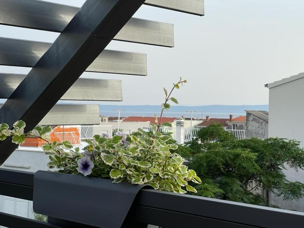 Villa Jadranka Apartments Tučepi Dış mekan fotoğraf